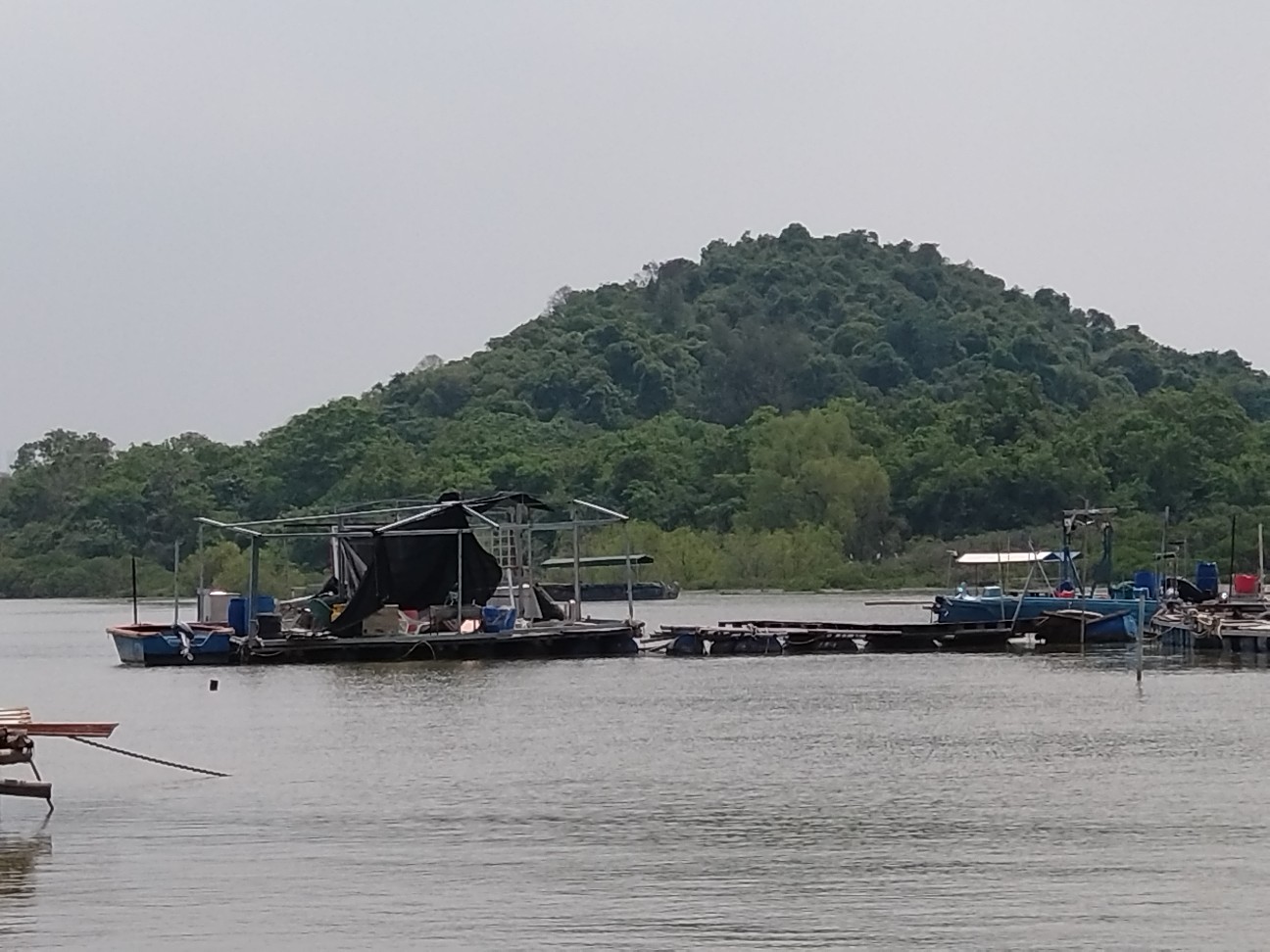 f:id:hangji3:20260601235817j:image
