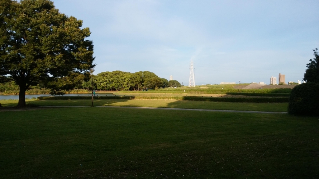 庄内緑地公園:5