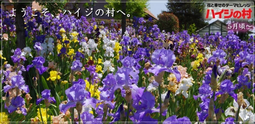 ペットと遊ぶ:ハイジの村