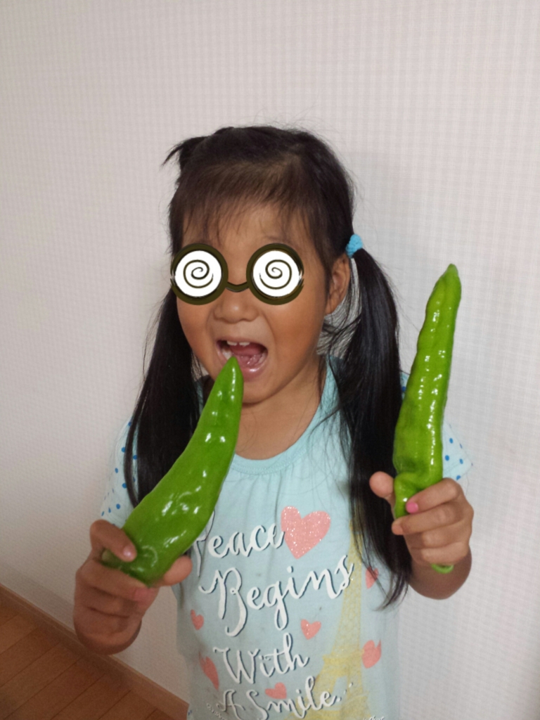 f:id:hangukyori:20160830102659j:plain f:id:hangukyori:20160830102659j:plain