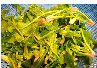 f:id:hangukyori:20200123115714j:plain f:id:hangukyori:20200123115714j:plain