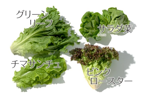 f:id:hangukyori:20200729225954j:plain f:id:hangukyori:20200729225954j:plain