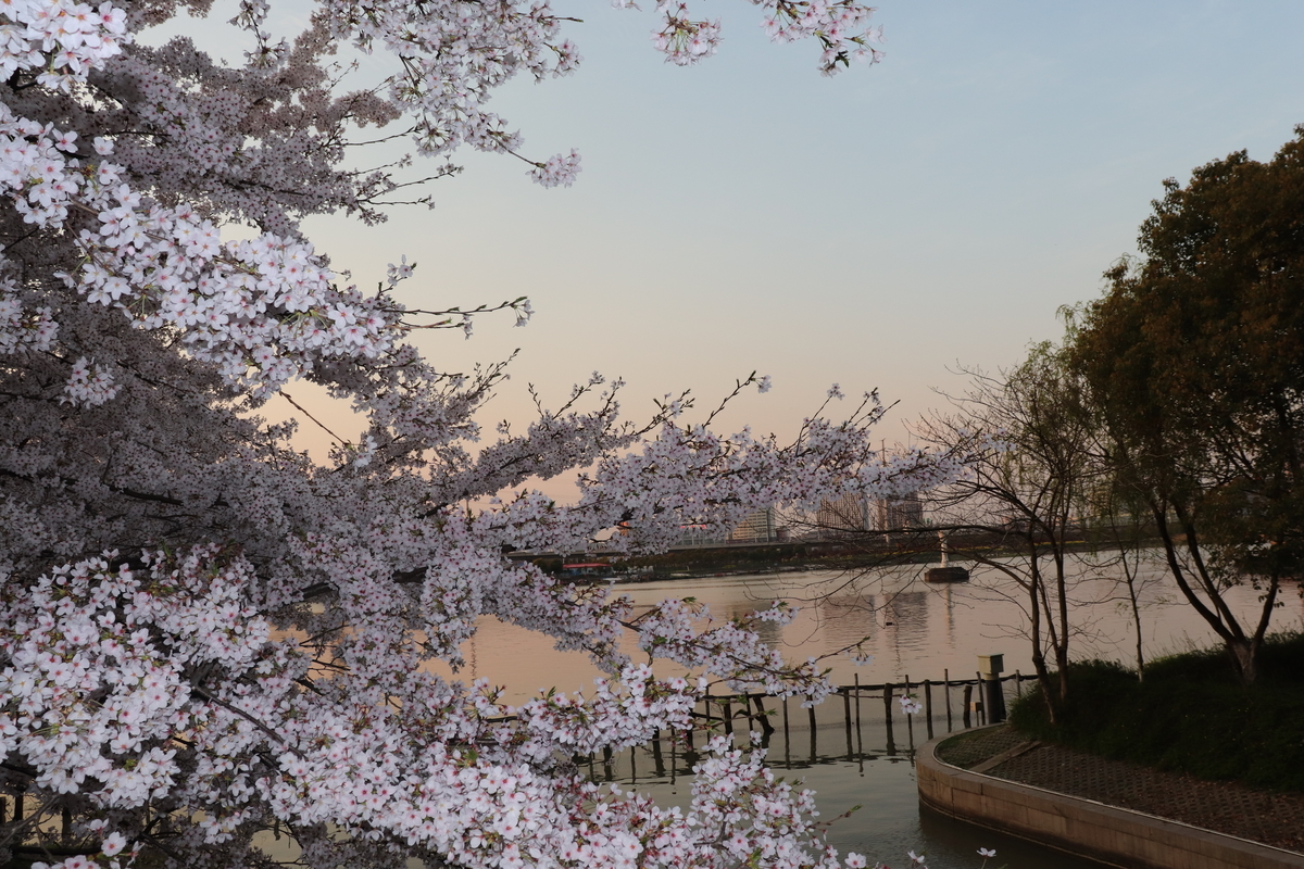 f:id:hangzhi_boba_01:20200320204327j:plain