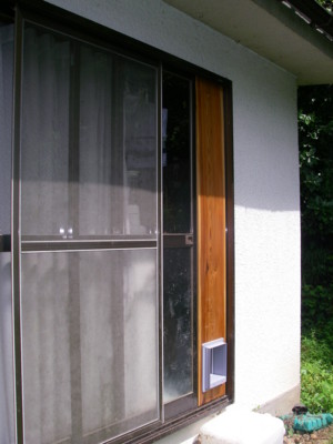 f:id:hani820:20090617101500j:image f:id:hani820:20090617101500j:image