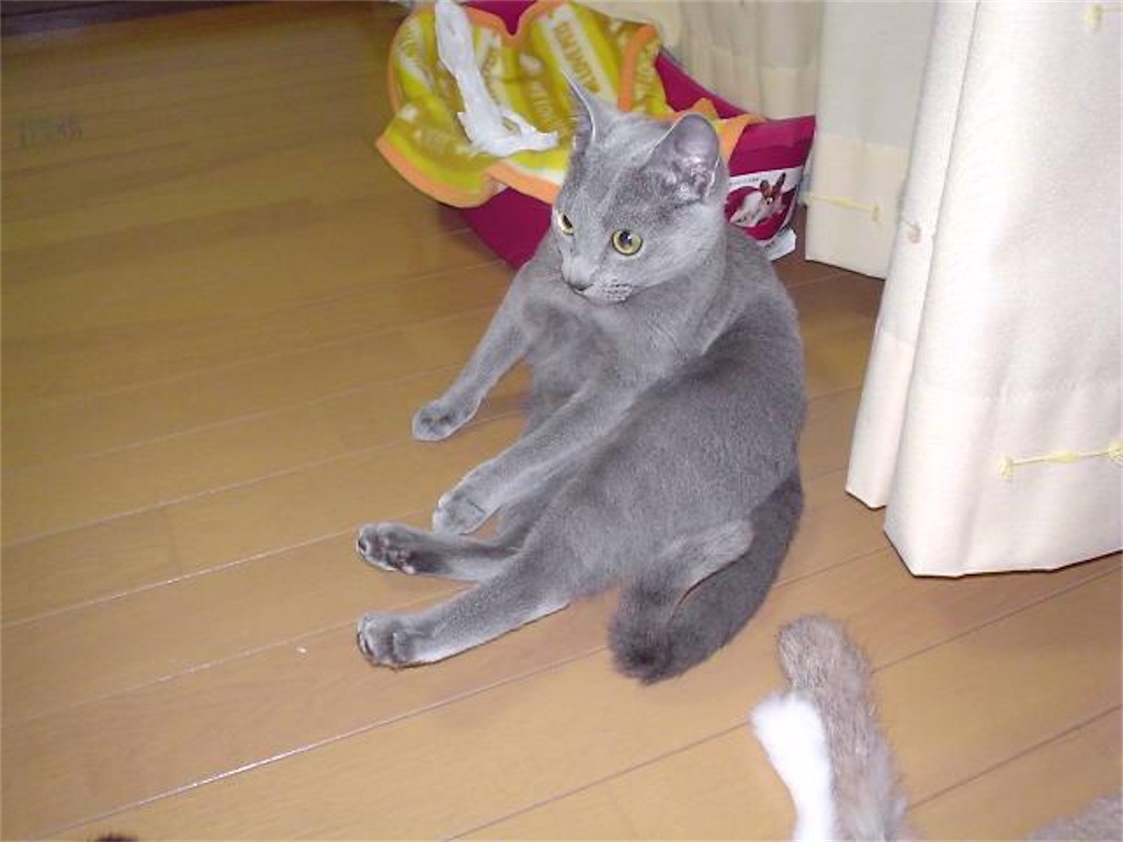 f:id:hani82k:20200904070830j:image