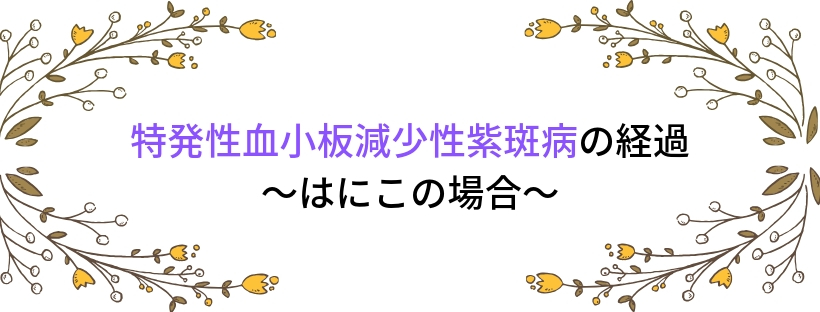 f:id:haniconi:20180904211107j:plain