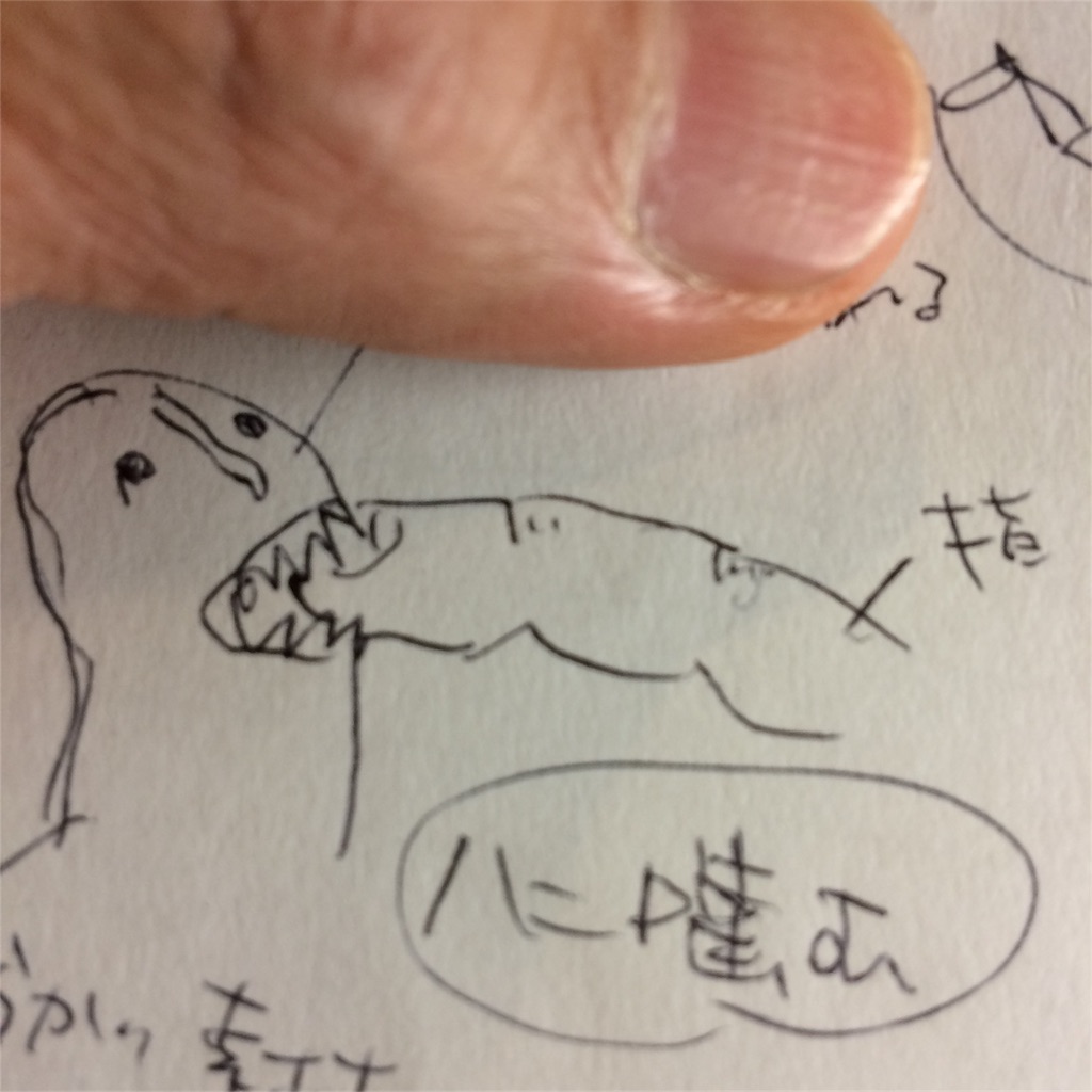 f:id:haniiidoguuu:20161119173012j:image