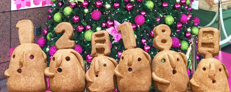 f:id:haniiidoguuu:20161218082531j:plain f:id:haniiidoguuu:20161218082531j:plain