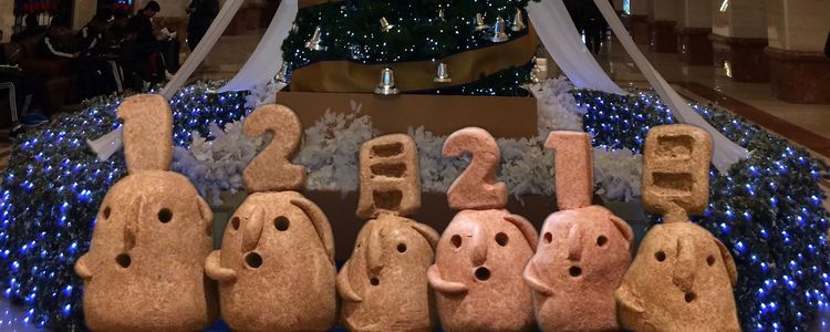 f:id:haniiidoguuu:20161221085310j:plain f:id:haniiidoguuu:20161221085310j:plain