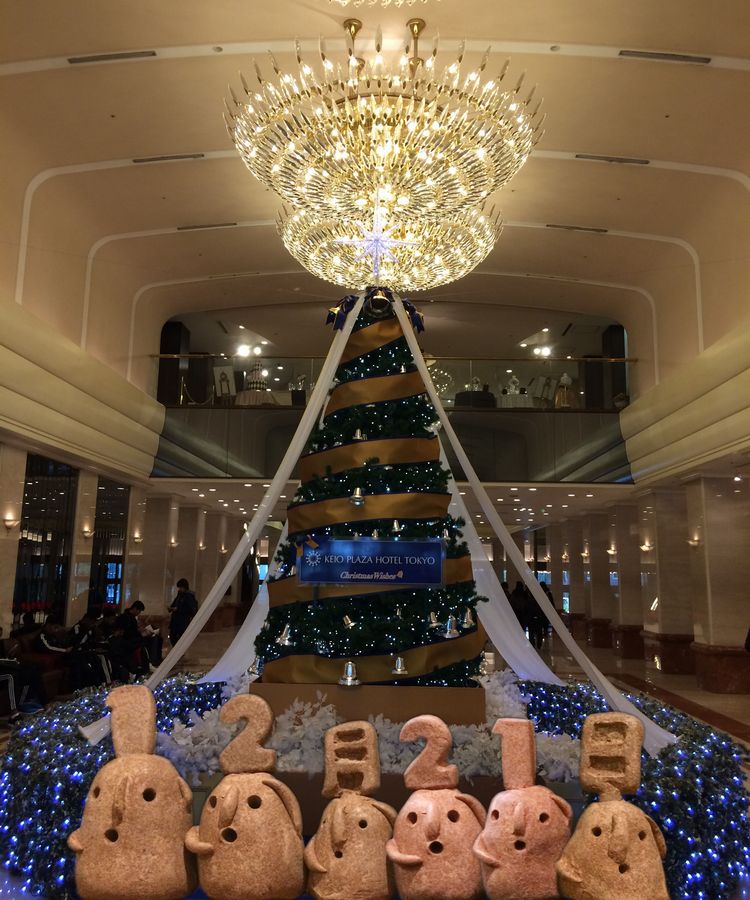 f:id:haniiidoguuu:20161221085336j:plain f:id:haniiidoguuu:20161221085336j:plain