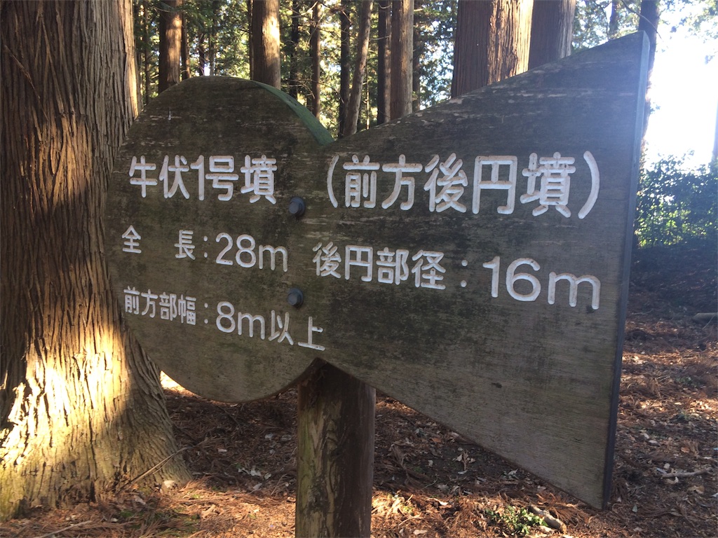 f:id:haniiidoguuu:20170111064341j:image