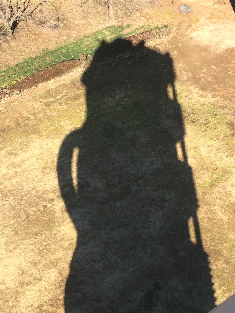 f:id:haniiidoguuu:20170111072421j:image