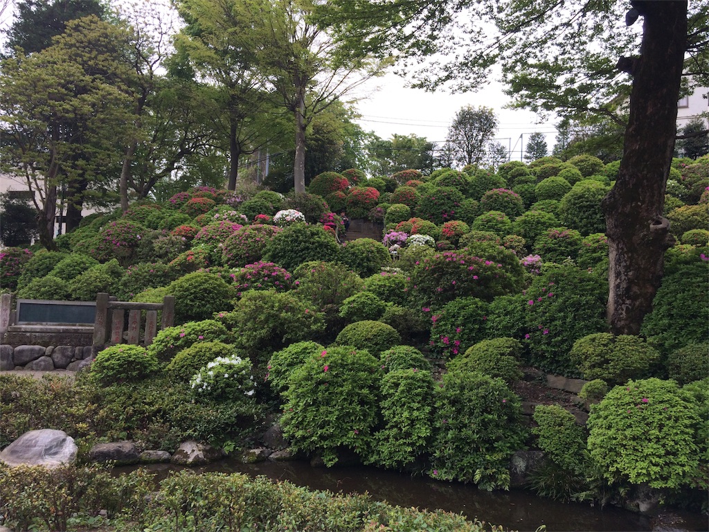 f:id:haniiidoguuu:20170426094914j:image f:id:haniiidoguuu:20170426094914j:image