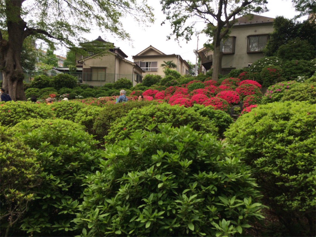 f:id:haniiidoguuu:20170426094931j:image f:id:haniiidoguuu:20170426094931j:image