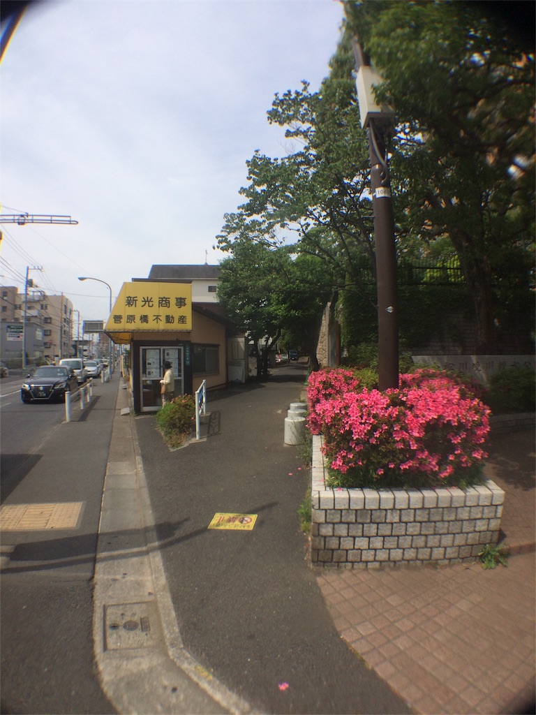 f:id:haniiidoguuu:20170524165425j:image f:id:haniiidoguuu:20170524165425j:image