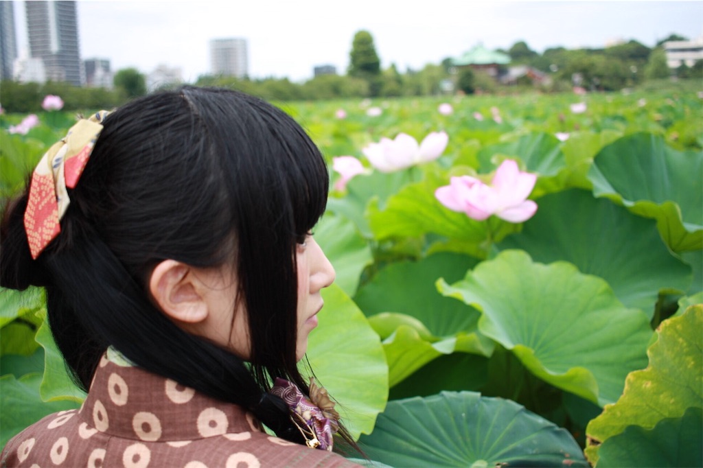 f:id:haniiidoguuu:20170721085224j:image