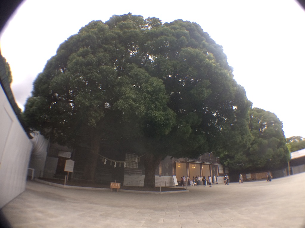 f:id:haniiidoguuu:20170814105516j:image f:id:haniiidoguuu:20170814105516j:image