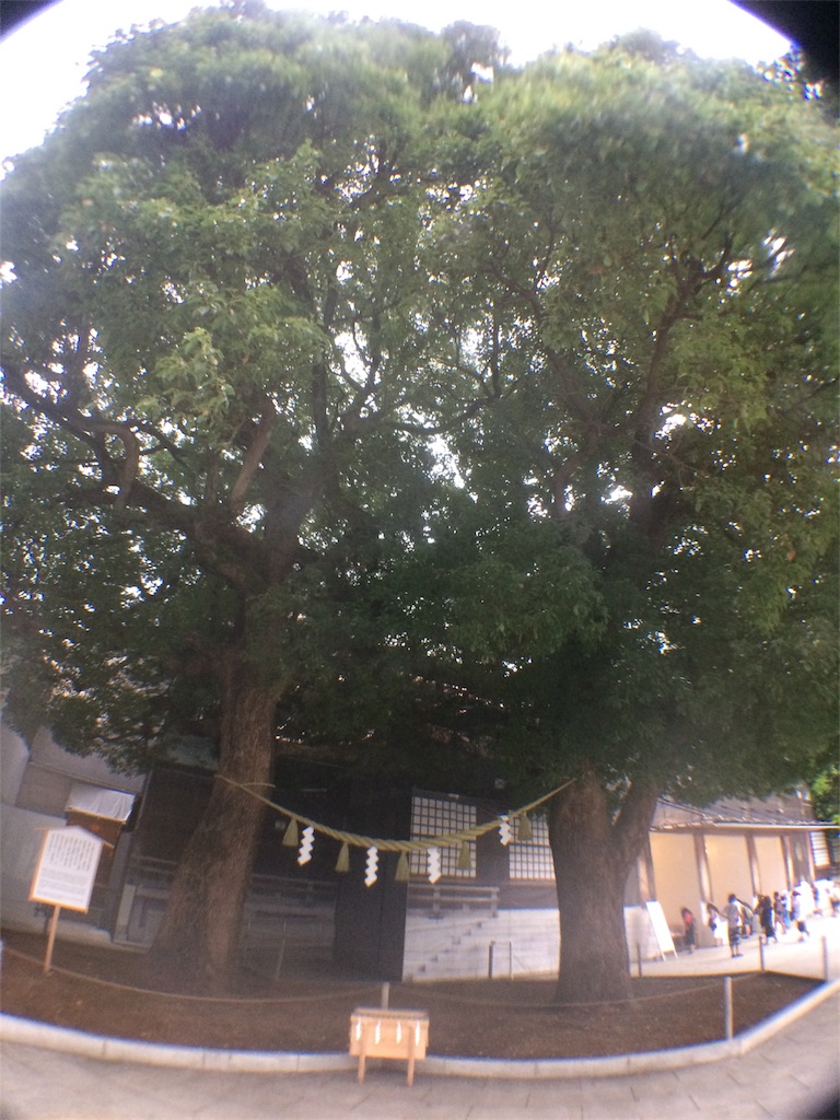 f:id:haniiidoguuu:20170814105528j:image f:id:haniiidoguuu:20170814105528j:image