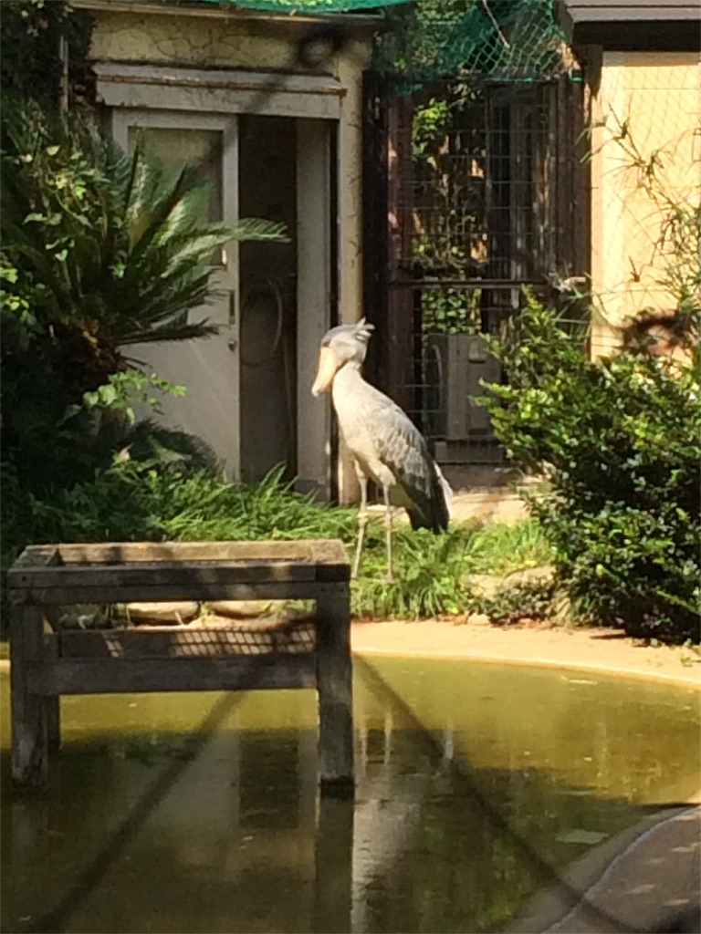 f:id:haniiidoguuu:20171002065756j:image f:id:haniiidoguuu:20171002065756j:image