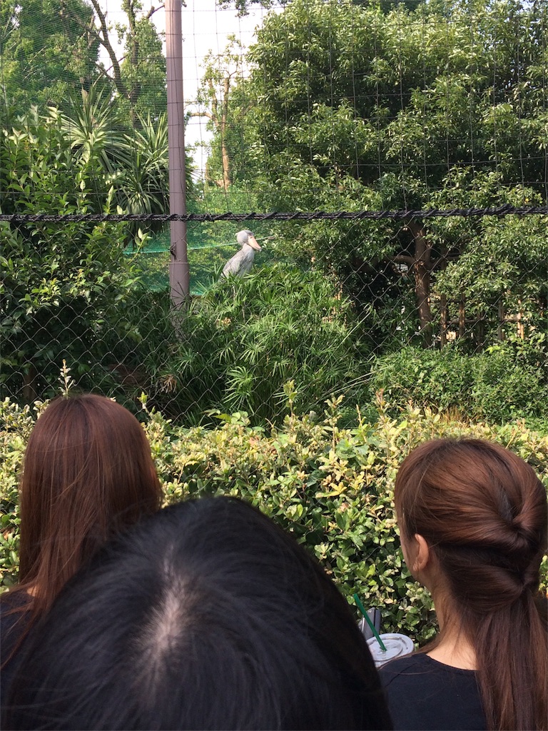 f:id:haniiidoguuu:20171002065804j:image f:id:haniiidoguuu:20171002065804j:image