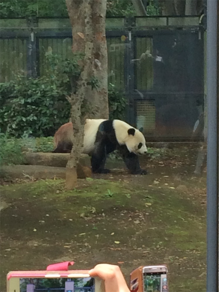 f:id:haniiidoguuu:20171002071059j:image f:id:haniiidoguuu:20171002071059j:image