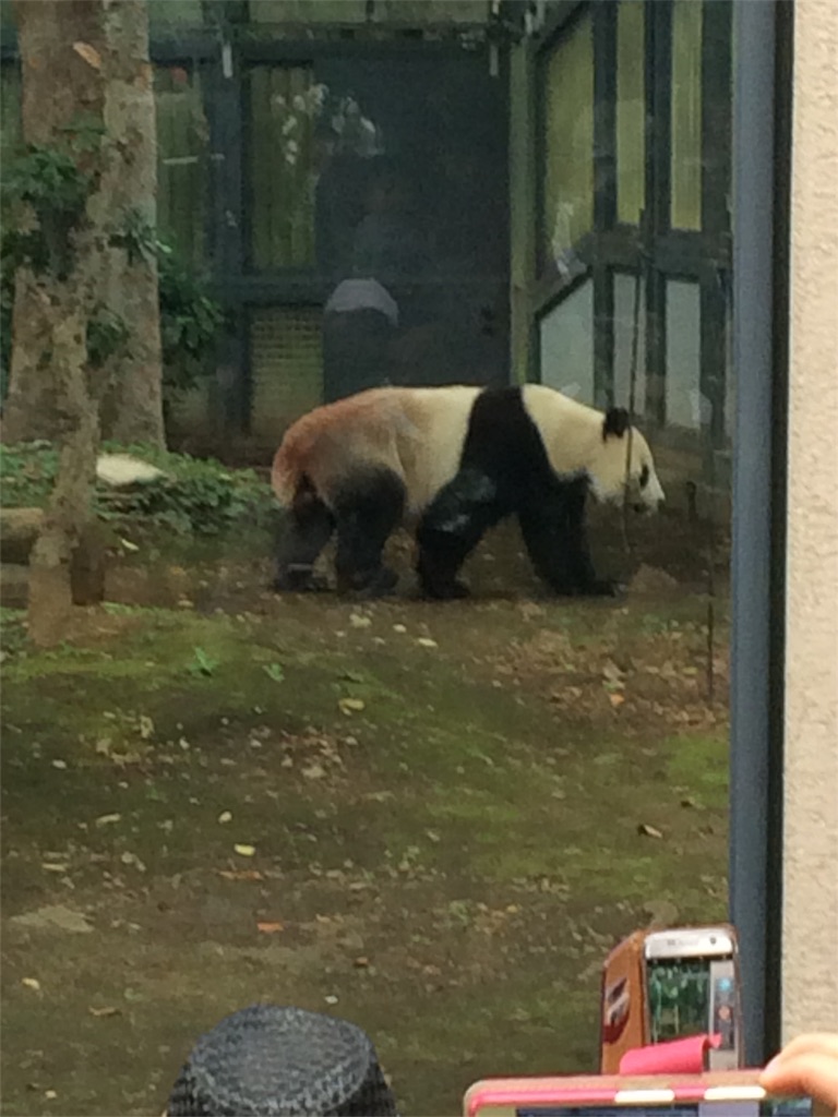 f:id:haniiidoguuu:20171002071106j:image f:id:haniiidoguuu:20171002071106j:image