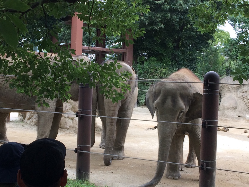 f:id:haniiidoguuu:20171002071124j:image f:id:haniiidoguuu:20171002071124j:image