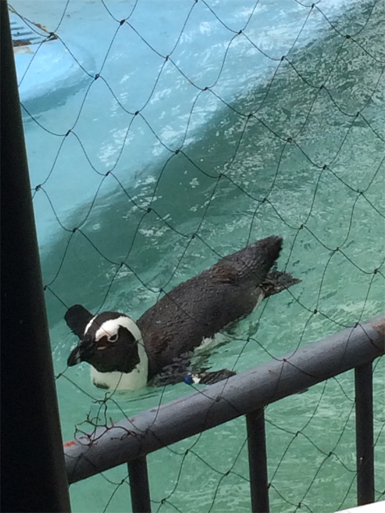 f:id:haniiidoguuu:20171002071746j:image f:id:haniiidoguuu:20171002071746j:image