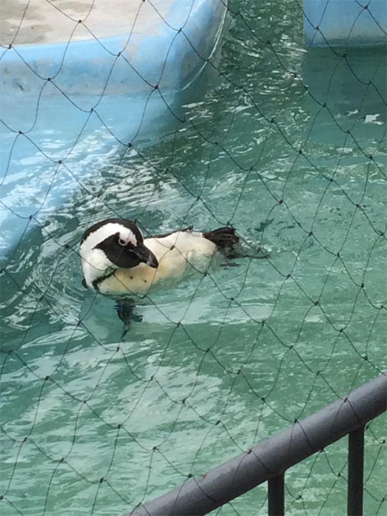 f:id:haniiidoguuu:20171002071747j:image f:id:haniiidoguuu:20171002071747j:image