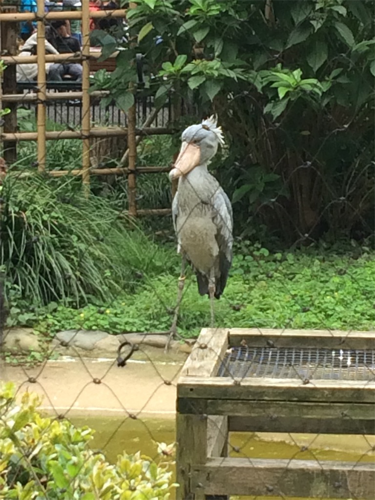 f:id:haniiidoguuu:20171002071815j:image f:id:haniiidoguuu:20171002071815j:image