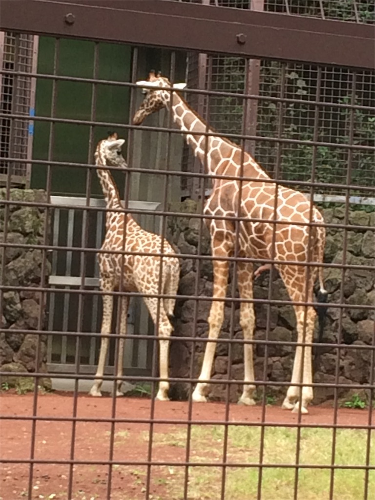 f:id:haniiidoguuu:20171002071844j:image f:id:haniiidoguuu:20171002071844j:image