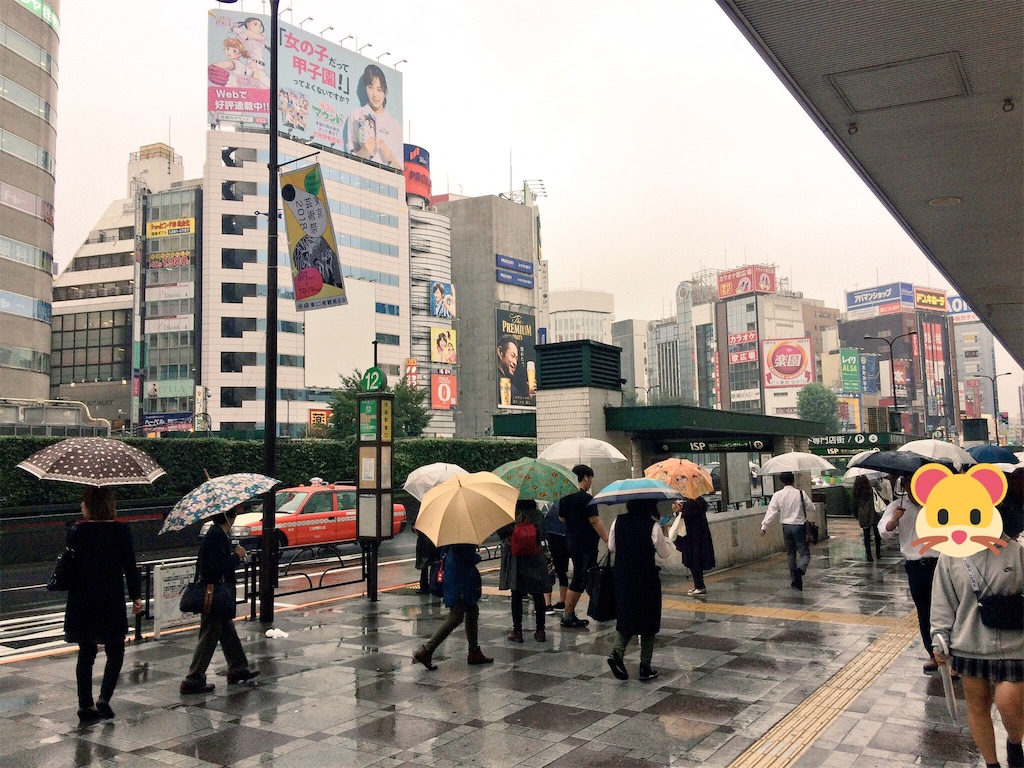 f:id:haniiidoguuu:20180925063606j:image