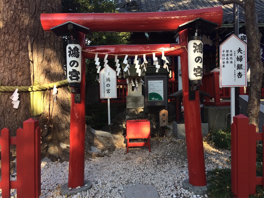 f:id:haniiidoguuu:20190109064917j:image f:id:haniiidoguuu:20190109064917j:image