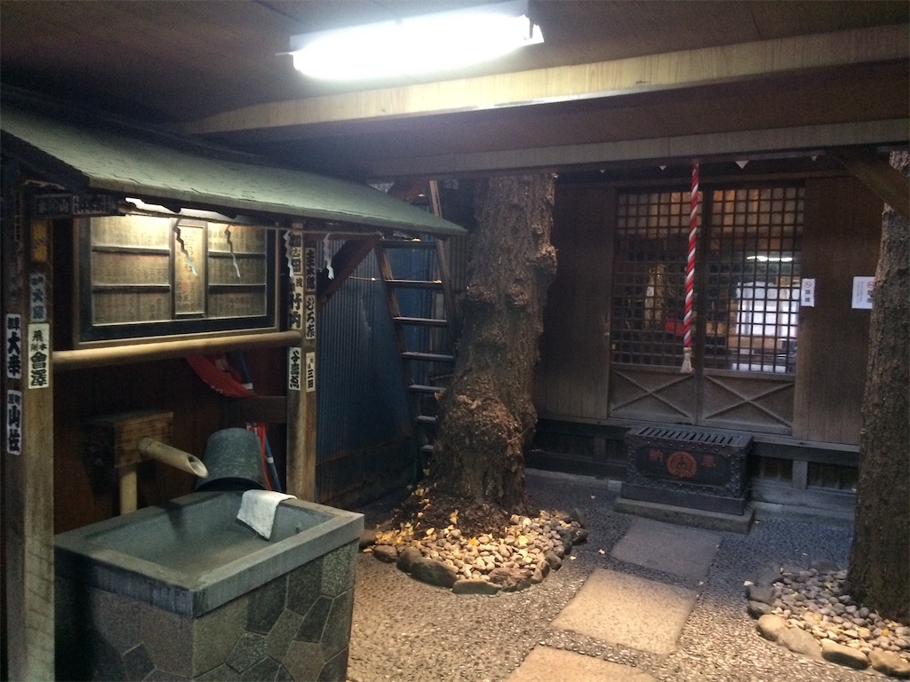 f:id:haniiidoguuu:20190123083042j:image f:id:haniiidoguuu:20190123083042j:image