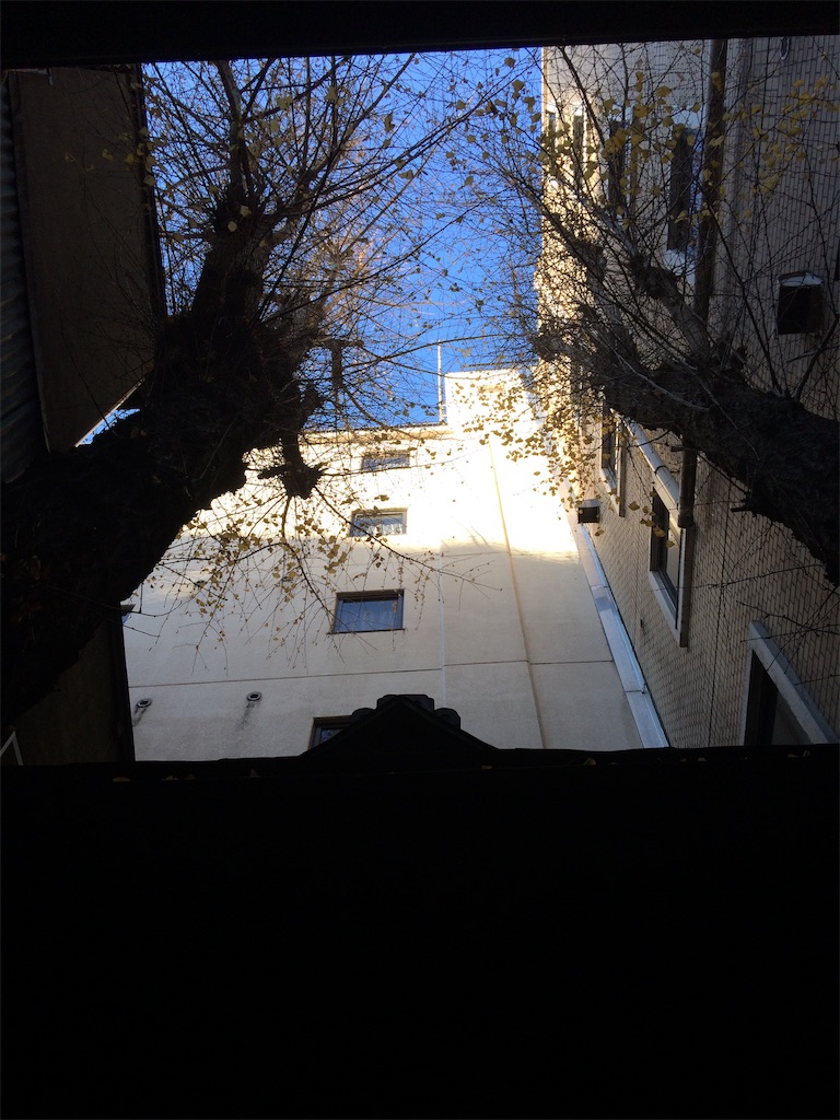 f:id:haniiidoguuu:20190123083055j:image f:id:haniiidoguuu:20190123083055j:image