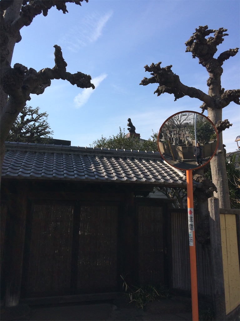 f:id:haniiidoguuu:20190225123005j:image