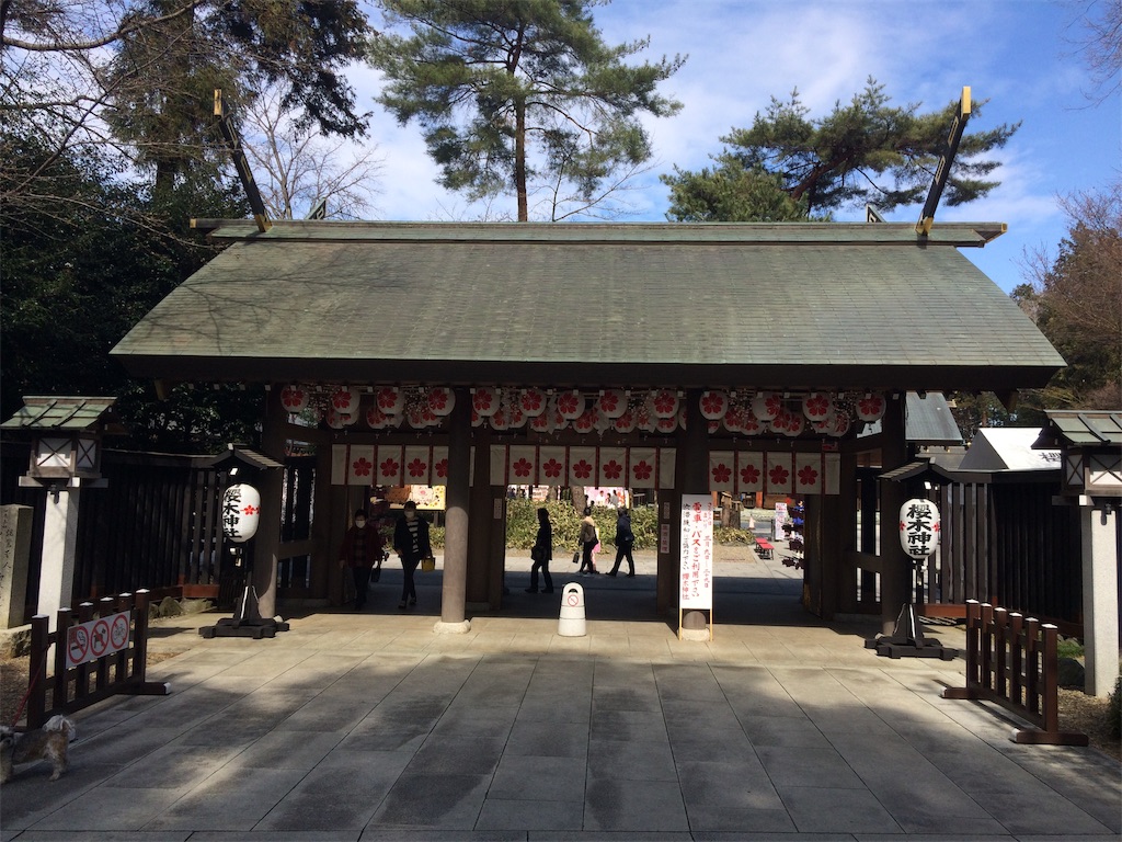 f:id:haniiidoguuu:20190320071146j:image