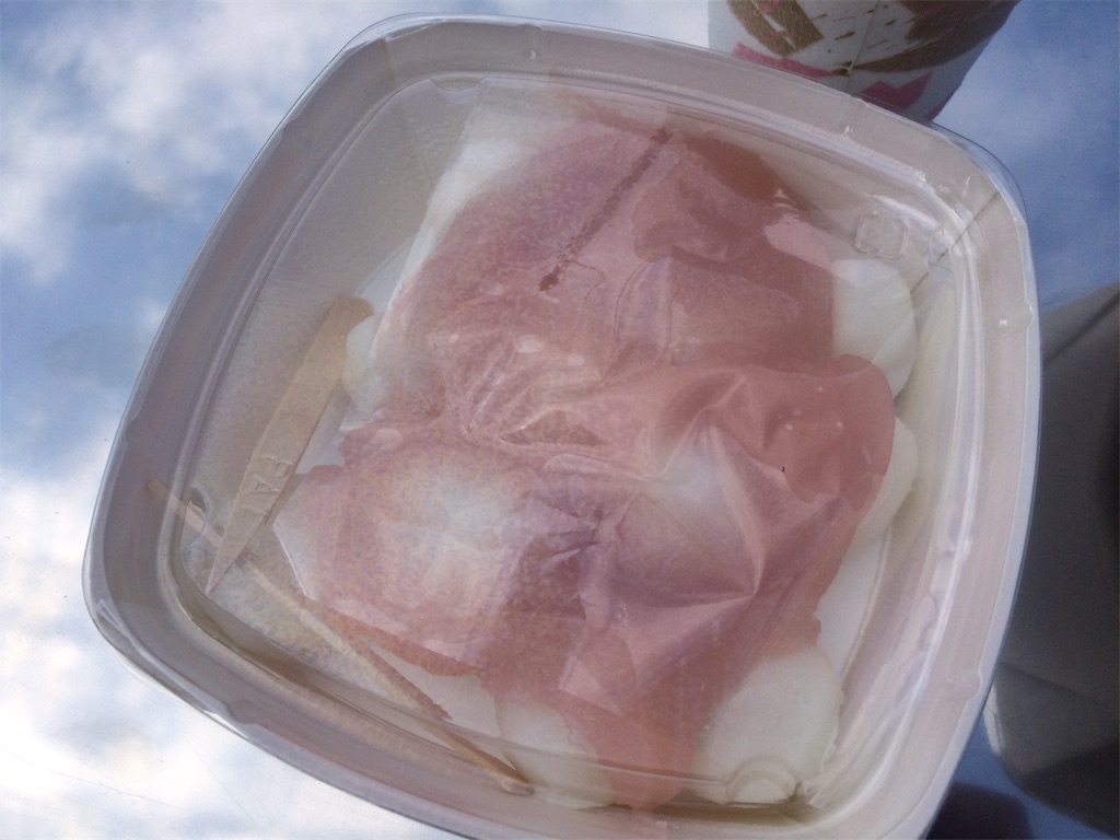 f:id:haniiidoguuu:20190320072034j:image