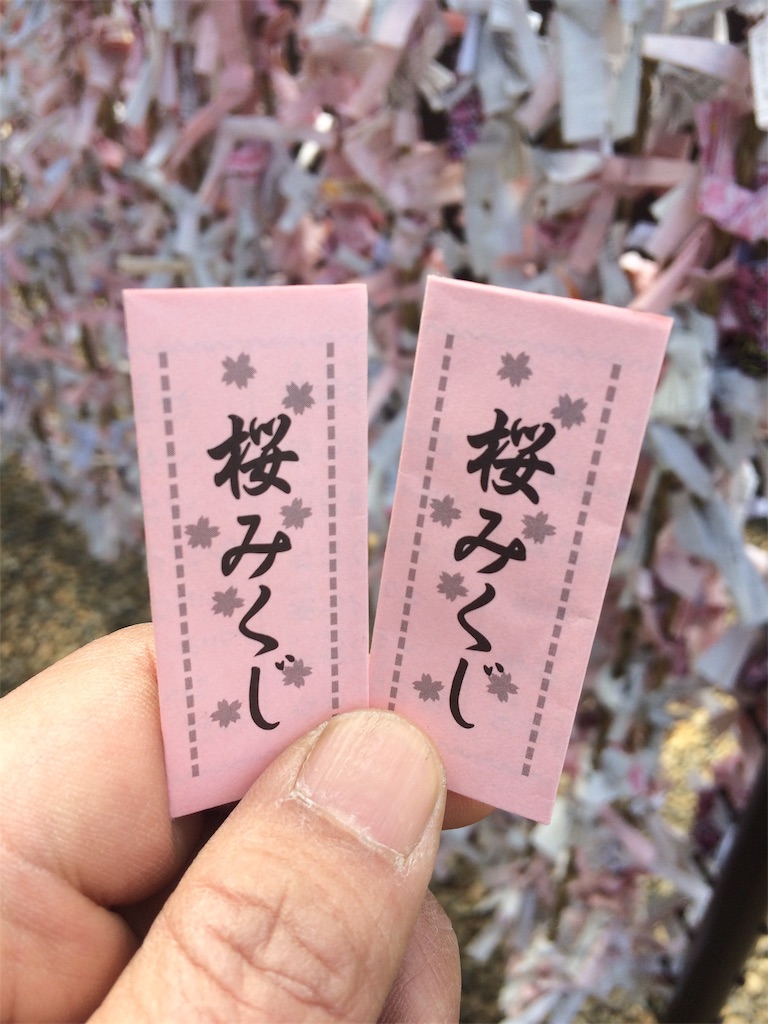 f:id:haniiidoguuu:20190320072044j:image