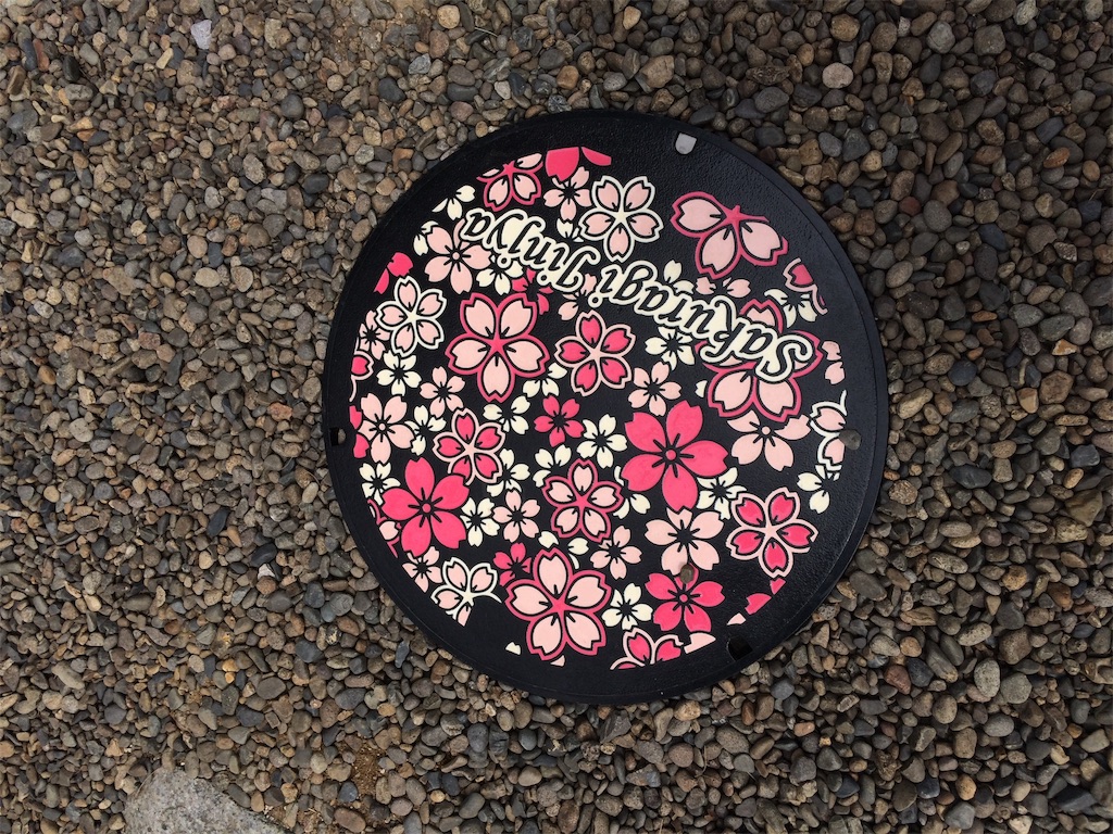 f:id:haniiidoguuu:20190320073121j:image