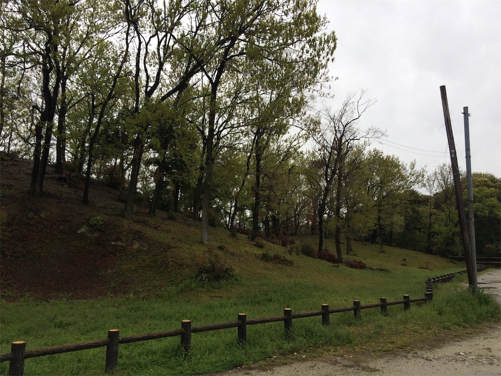 f:id:haniiidoguuu:20190411200415j:image f:id:haniiidoguuu:20190411200415j:image