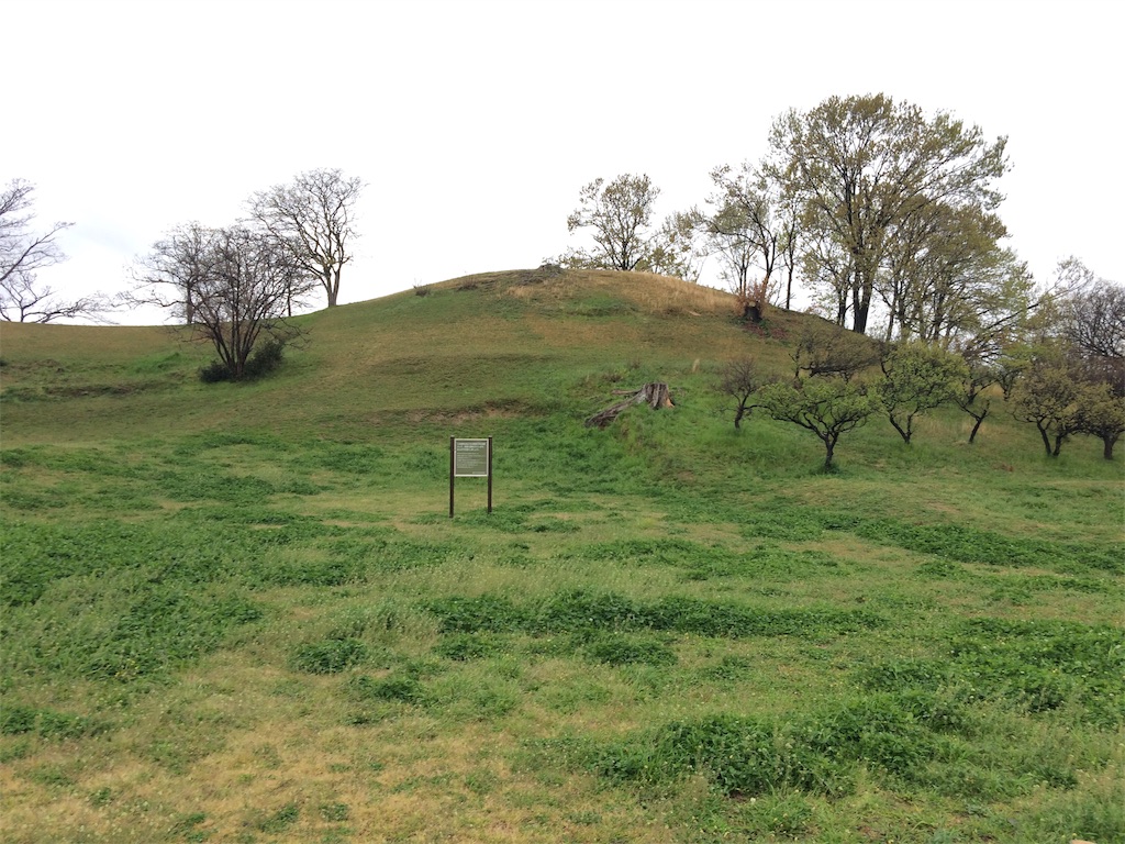 f:id:haniiidoguuu:20190411200427j:image f:id:haniiidoguuu:20190411200427j:image