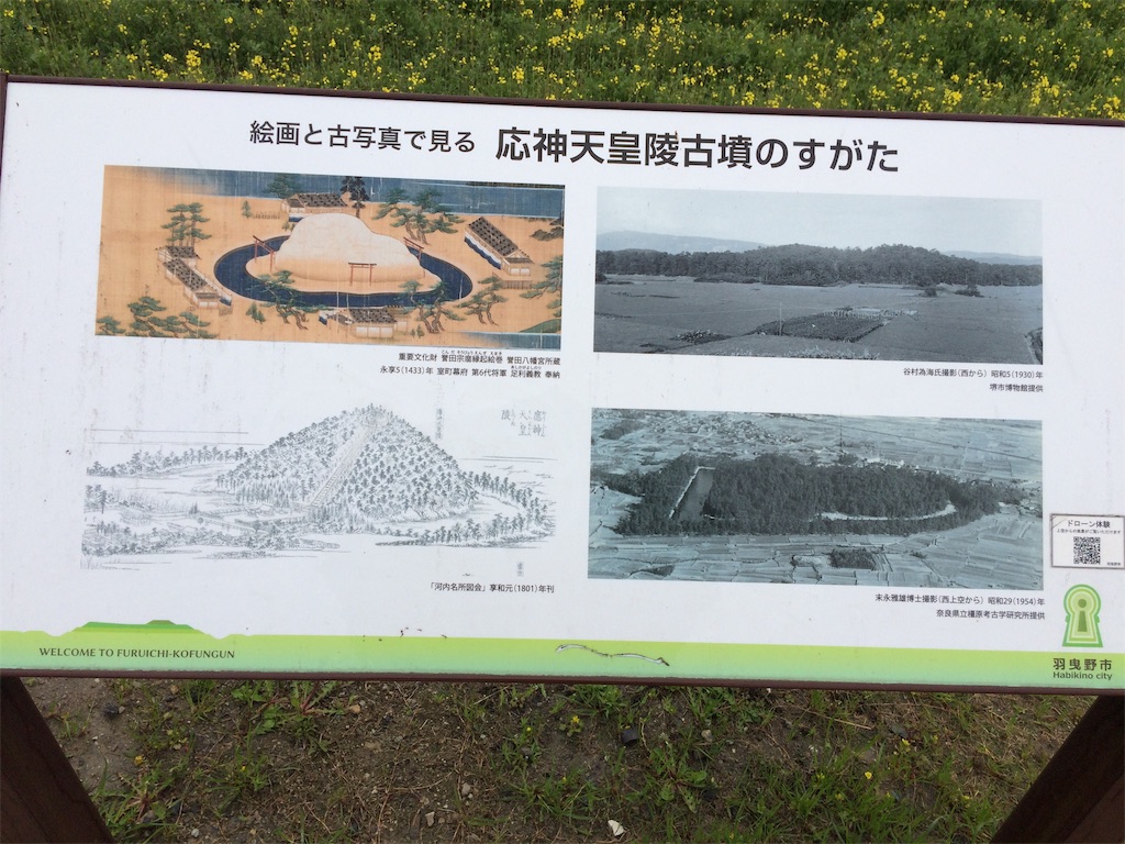 f:id:haniiidoguuu:20190411200505j:image f:id:haniiidoguuu:20190411200505j:image