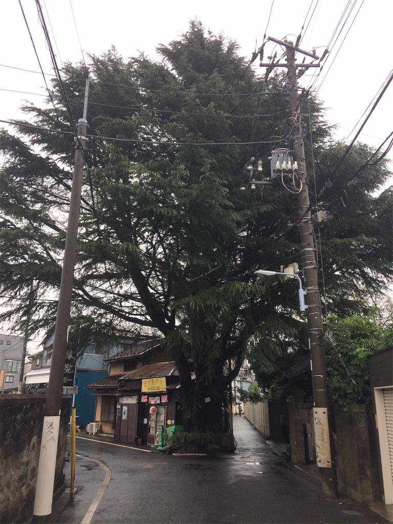 f:id:haniiidoguuu:20191019101028j:image