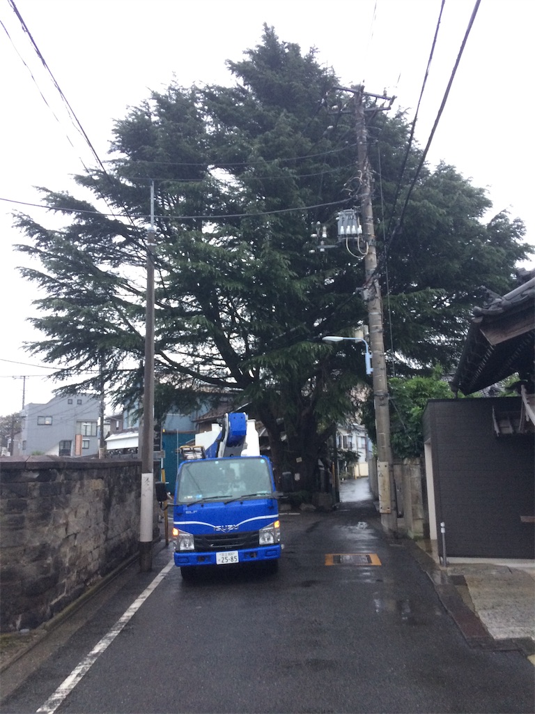 f:id:haniiidoguuu:20191019101032j:image