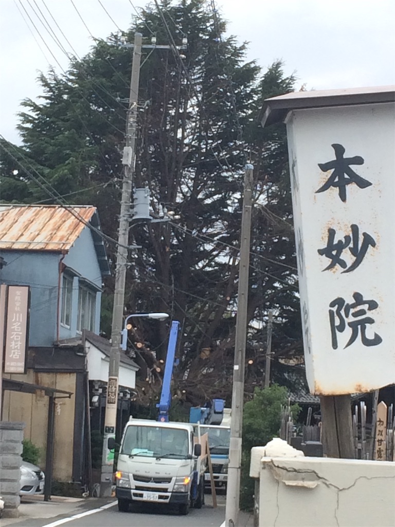 f:id:haniiidoguuu:20191019101049j:image