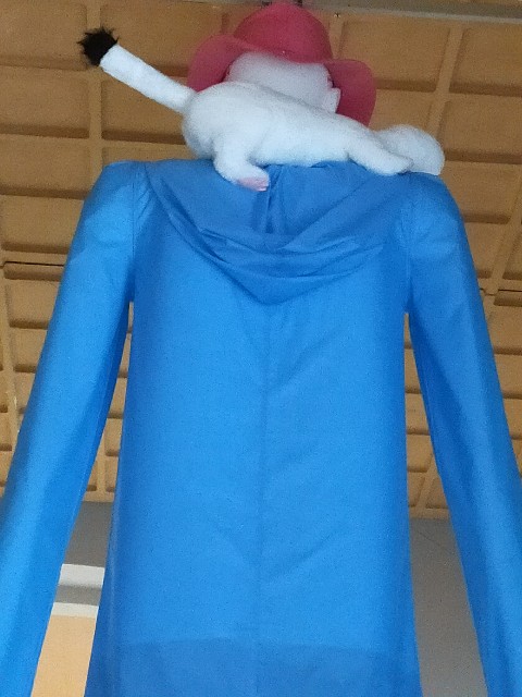 f:id:haniiidoguuu:20201009144331j:image