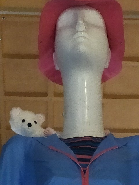 f:id:haniiidoguuu:20201009144359j:image