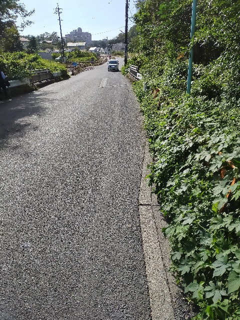 f:id:haniiidoguuu:20201009153049j:image