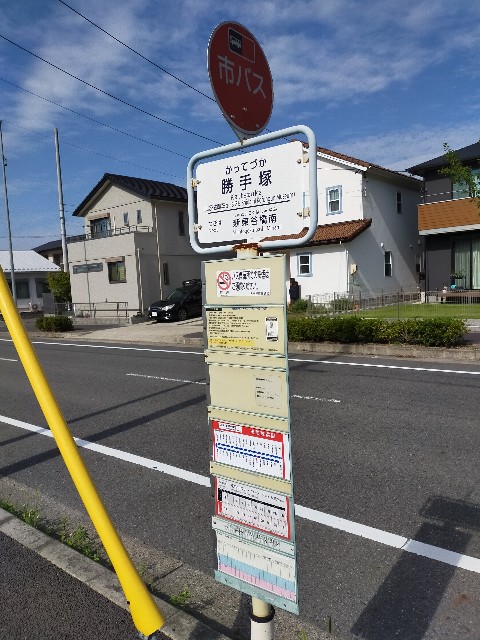 f:id:haniiidoguuu:20201009154147j:image